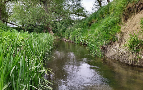 An Open Tun on Cod Beck